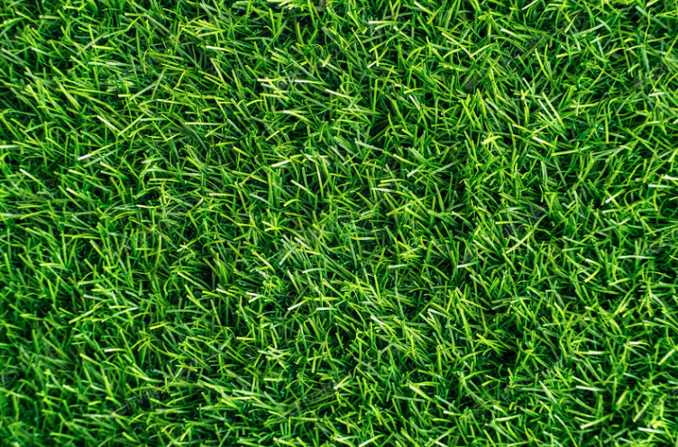 Get Your Lawn Green This Summer!