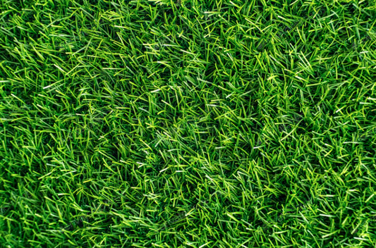 Get Your Lawn Green This Summer!