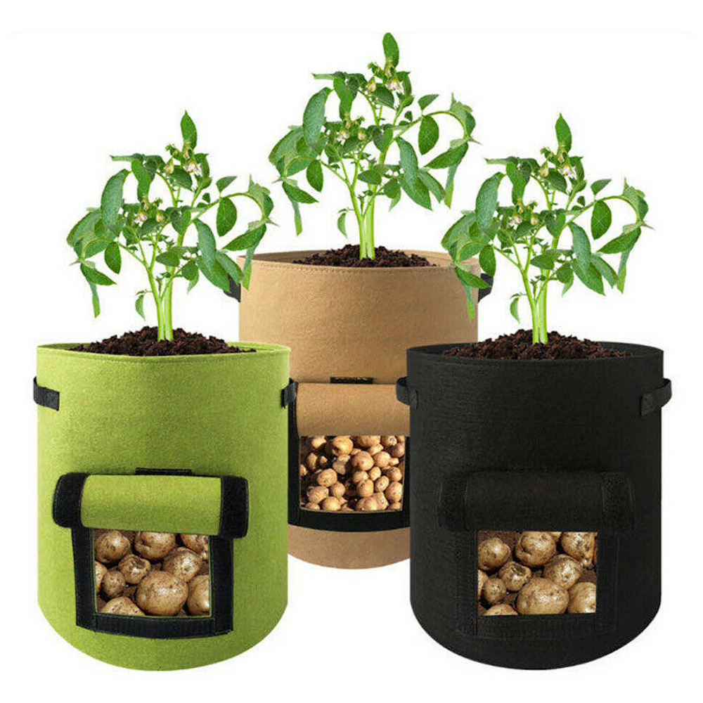 Easy Grow Potato Bag